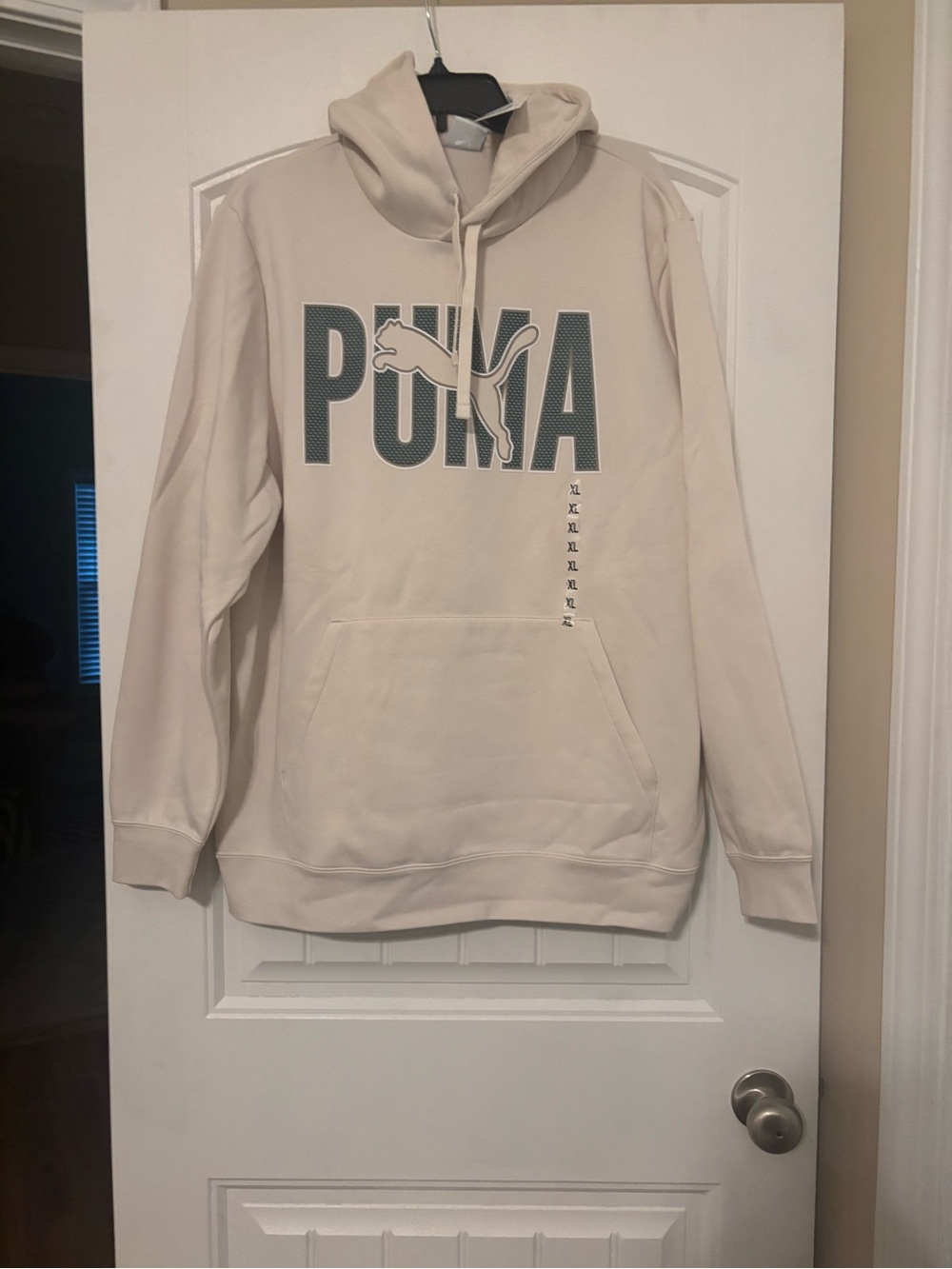 Puma Men's Alpine Snow Pullover Hoodie with Green Logo